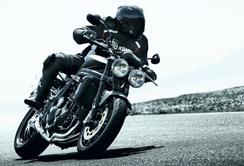 Speed Triple