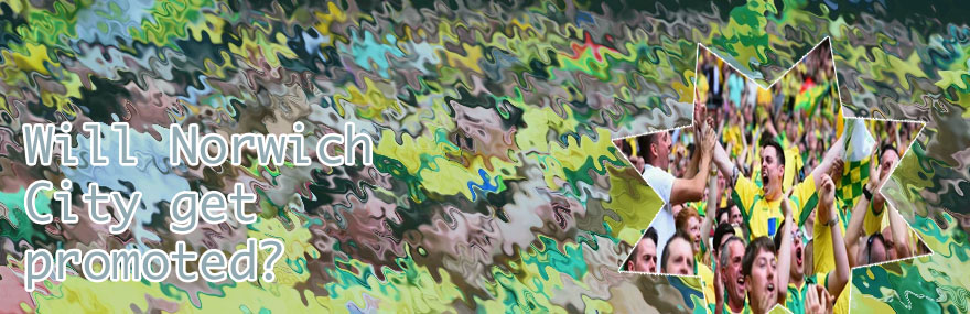 Norwich city promotion